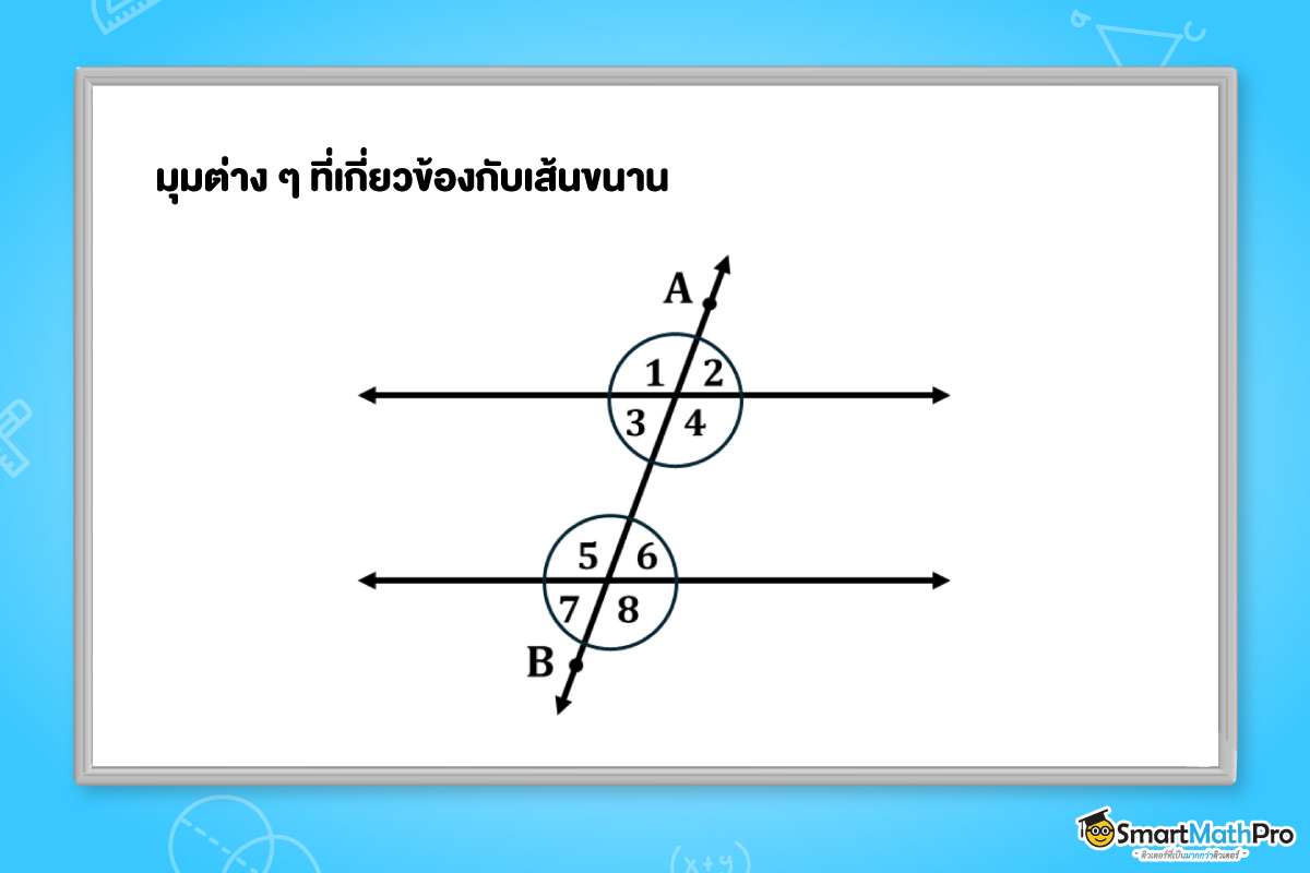 มุมต่าง ๆ ที่เกี่ยวข้องกับเส้นขนาน